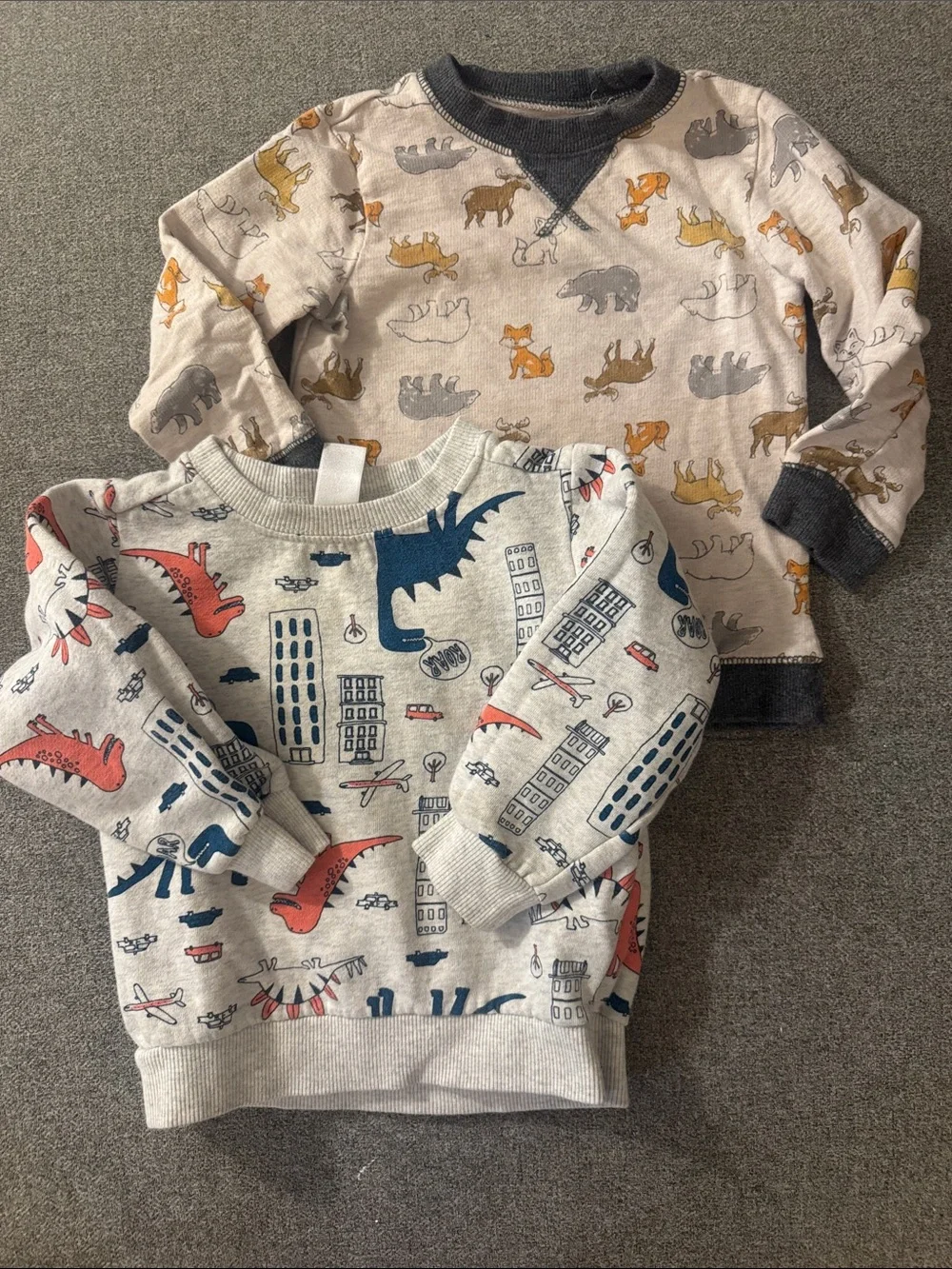 5/$15- Kids' Long-Sleeve Animal & Dino Sweatshirts - Gray/Beige
